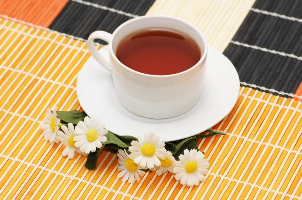 Φλιτζάνι τσάι και camomiles — Φωτογραφία Αρχείου