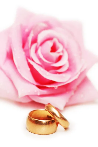 Два обручальных кольца и роза — стоковое фото