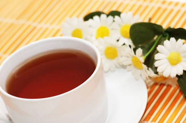 Šálek čaje a camomiles — Stock fotografie