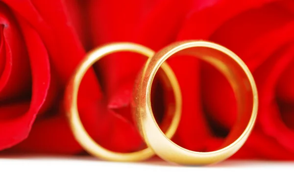 Два золотых обручальных кольца и розы — стоковое фото