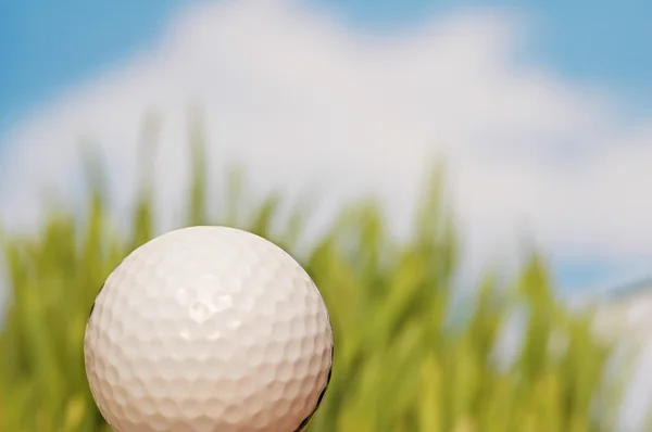 Golfboll och grönt gräs — Stockfoto