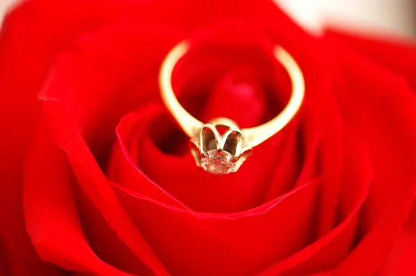 stock image Gold ring with diamond on rose