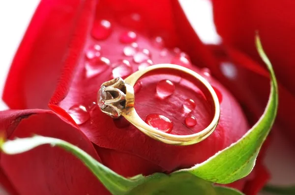 Свадебное кольцо с блестящим на розе — стоковое фото