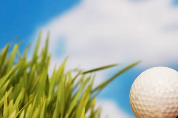 Bola de golfe e grama verde — Fotografia de Stock