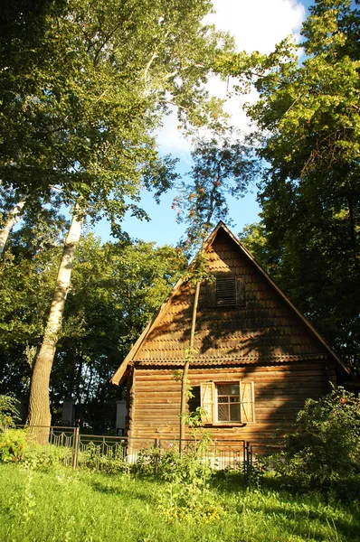 Деревянный дом в лесу — стоковое фото