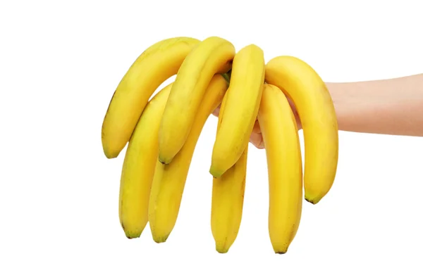 Mão segurando Bando de bananas — Fotografia de Stock