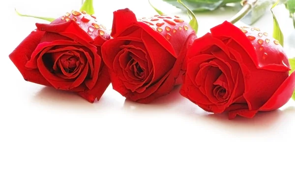 Tři růže s kapkami vody, samostatný — Stock fotografie