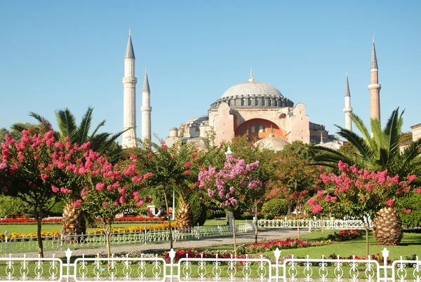 Négy minaret mecset Isztambulban — Stock Fotó