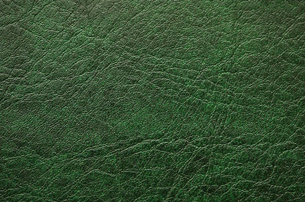 緑の革のパターン — ストック写真