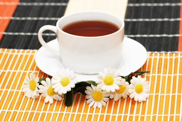 Чашка чая с травами и маргаритками — стоковое фото