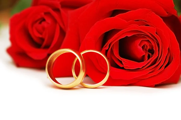 Two wedding rings and red roses — Stock Photo, Image