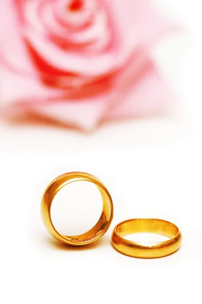 Dvě zlaté, snubních prstenů a růže Royalty Free Stock Obrázky