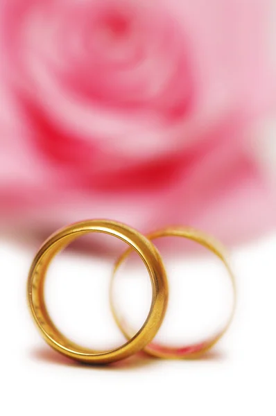 Dva snubní prsteny a růžové růže Royalty Free Stock Fotografie
