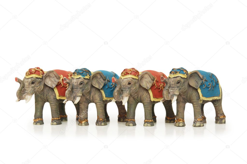 Four elephants isolated on the white