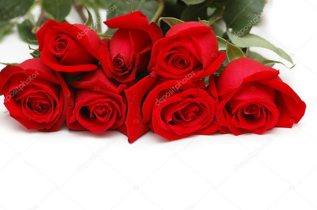 Bunch of red roses isolated — Stock Photo © Elnur_ #2653861