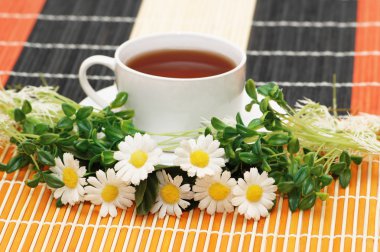 Cup of tea with herbs and daisies clipart