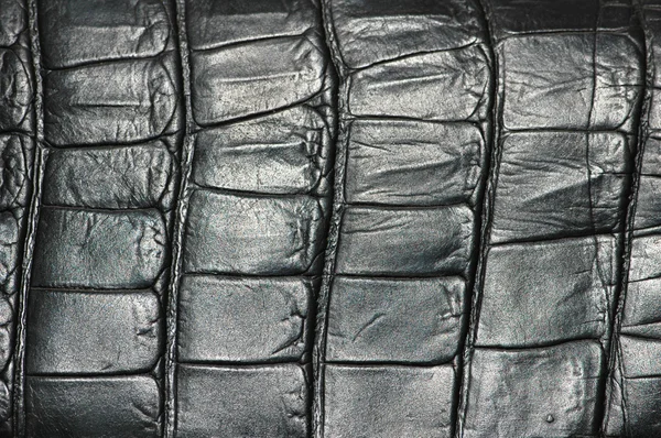 Pattern of black leather — Stock Photo, Image
