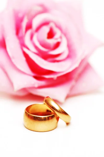 两个结婚戒指和粉红色的玫瑰 — 图库照片