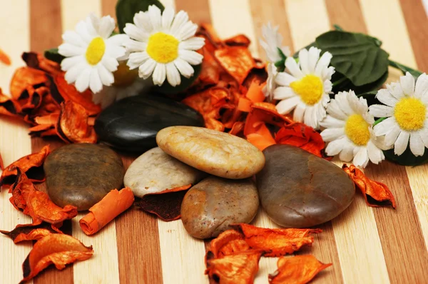 Kamienie, płatki i kwiaty — Zdjęcie stockowe