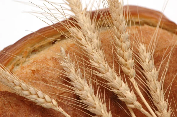 小麦的耳朵和孤立的面包 — 图库照片