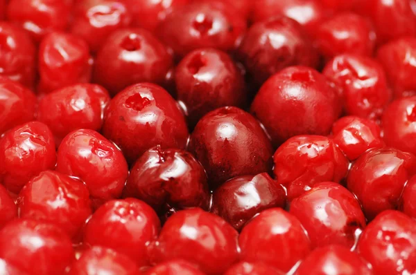 Red bright berries — Stock Photo, Image