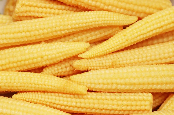 Bébi kukorica csövek rendezett — Stock Fotó