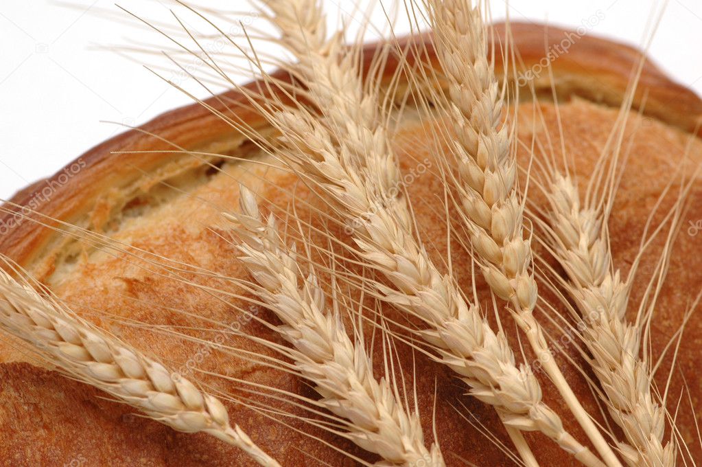 Wheat ears and bread loaf isolated