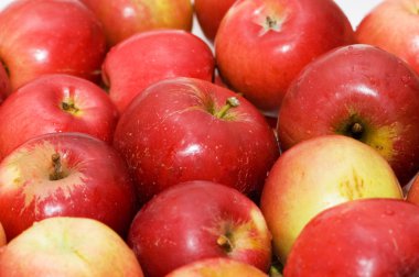 satırlarda düzenlenen kırmızı elmalar