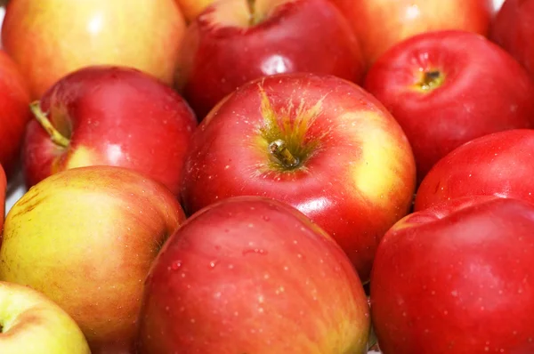 Röda äpplen på rader — Stockfoto