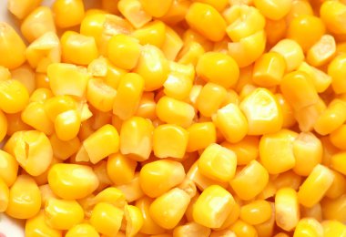 Sweet corn kernels clipart