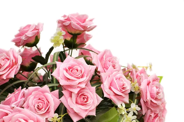 Ροζ τριαντάφυλλα απομονωμένη στο λευκό — Φωτογραφία Αρχείου