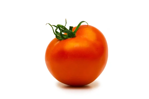 빨간 tomatoe는 흰색 절연 — 스톡 사진