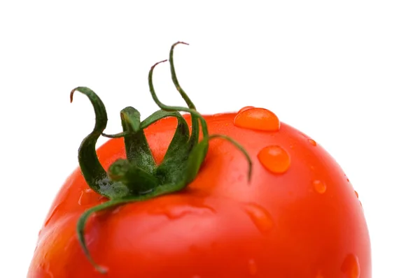Kırmızı domates izole su damlaları — Stok fotoğraf