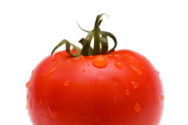 Röd tomat isolerat på vita — Stockfoto