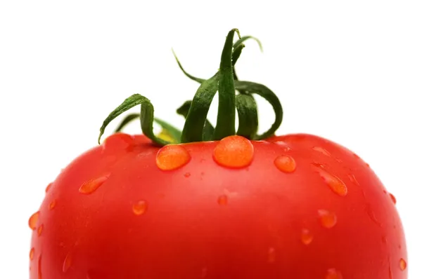 Κόκκινη ντομάτα με σταγόνες νερό — Φωτογραφία Αρχείου