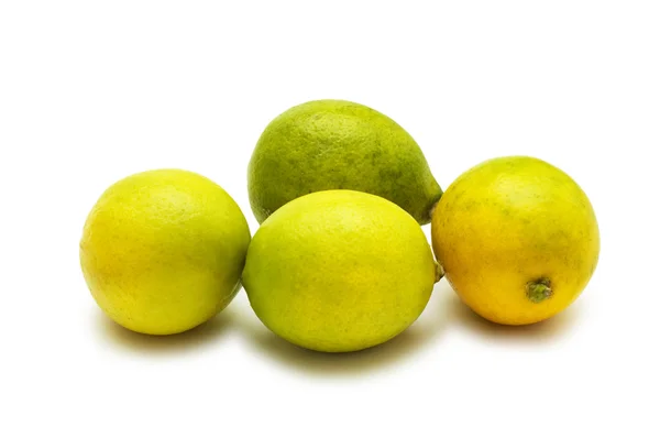 Vier citroenen geïsoleerd op de witte — Stockfoto