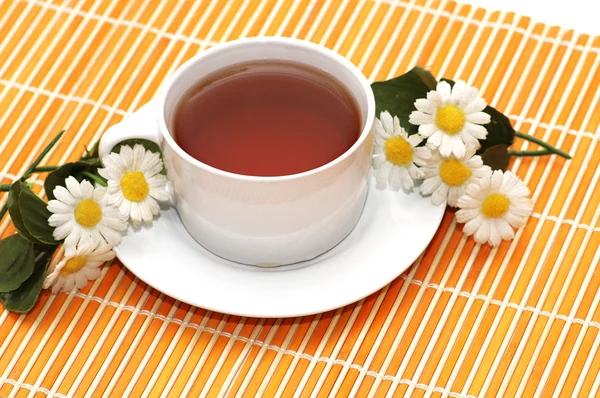 Csésze fekete teát és camomiles — Stock Fotó