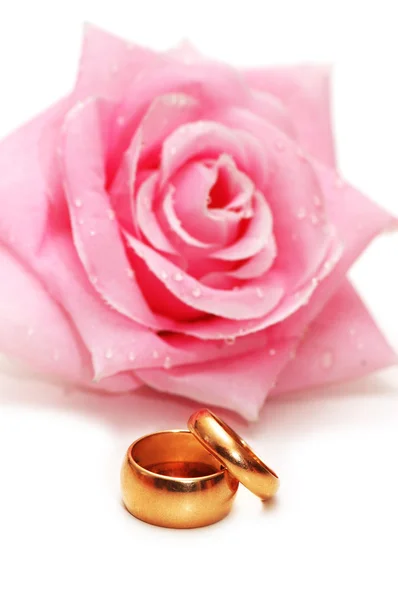 两个结婚戒指和玫瑰 — 图库照片