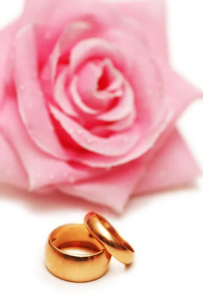Dva snubní prsteny a růžové růže — Stock fotografie