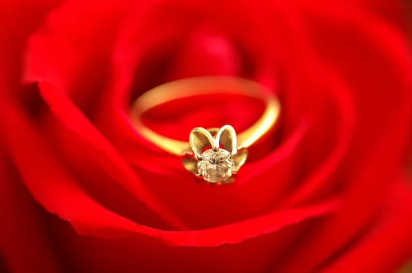 Diamantring über der Knospe der roten Rose — Stockfoto