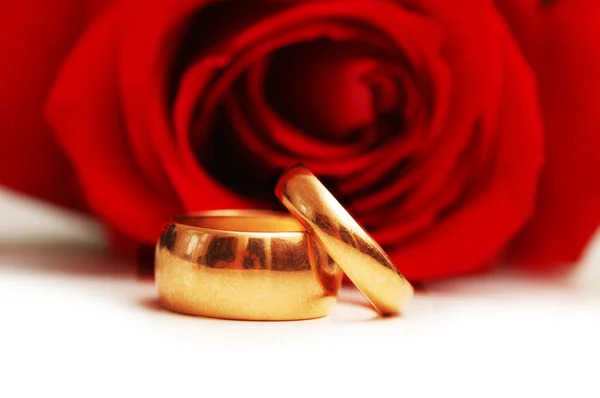 Έννοια του γάμου με τριαντάφυλλα — Φωτογραφία Αρχείου
