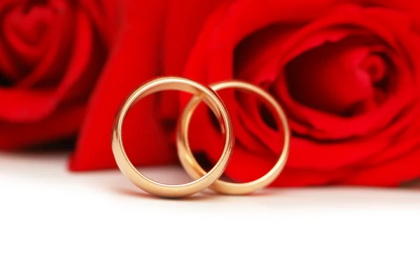 Dos anillos de boda y rosas rojas — Foto de Stock