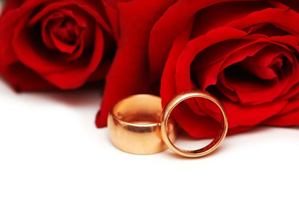 Zlaté prsteny a červené růže, samostatný — Stock fotografie