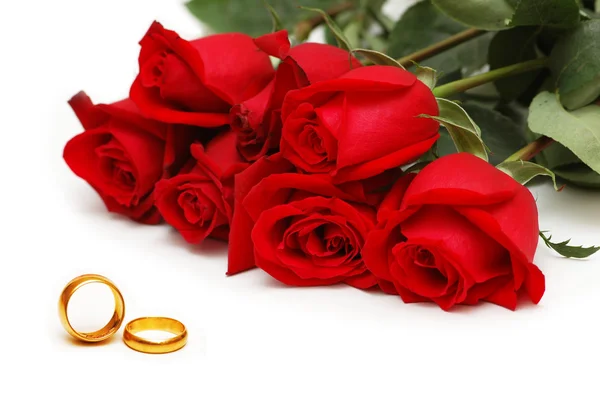 Czerwone róże i pierścienie na białym tle — Zdjęcie stockowe