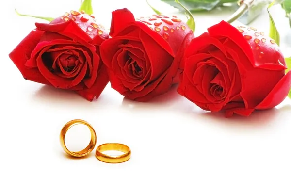Tři růže a kroužky, samostatný — Stock fotografie