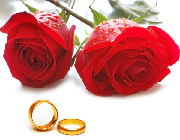 Svatební koncept s růží — Stock fotografie