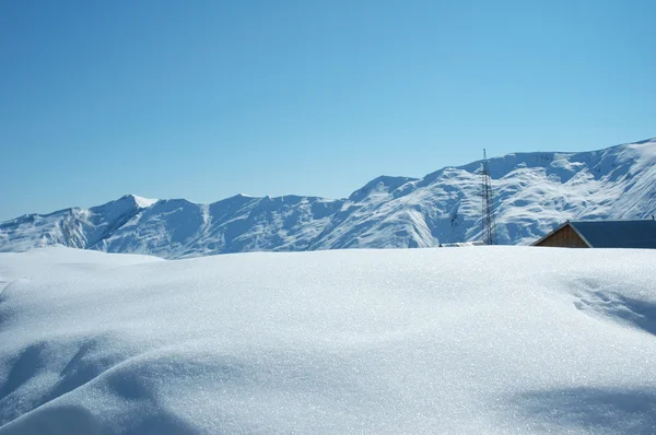 高山雪下 — 图库照片