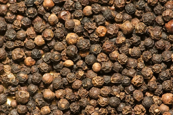 Background of black pepper — Stock Photo, Image