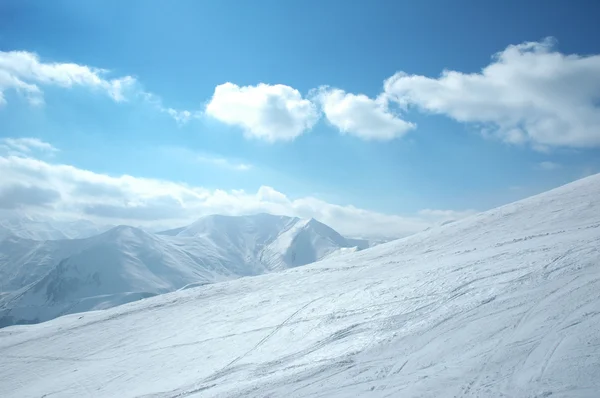 高山雪下 — 图库照片