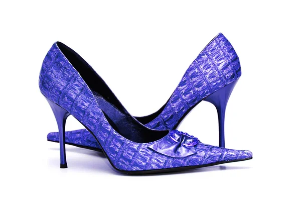 Pair of shiny female shoes isolated — Stock Photo, Image